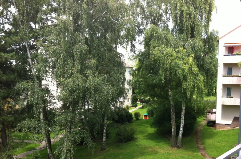 Balkonzimmer Blick nach Süden